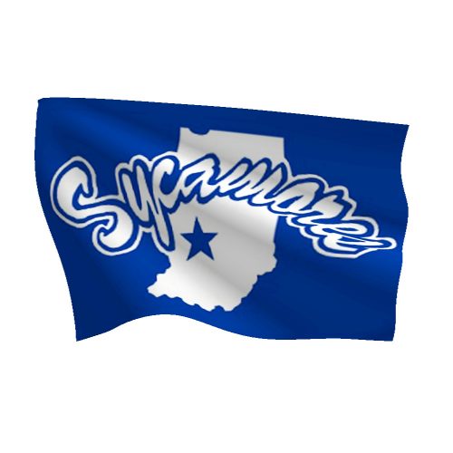 Indiana State University Nylon Flags