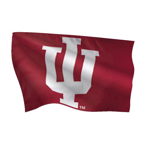 Indiana University Flag (High-Quality)