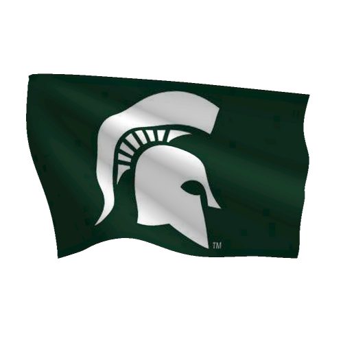 Michigan State University Spartan Logo Flag