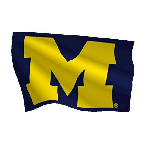 University of Michigan Flag (High-Quality)