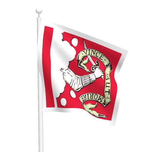 3ft x 3ft Bedford Flag