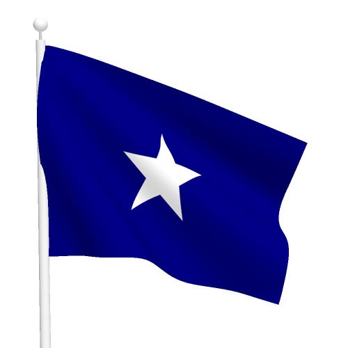 3ft x 3ft Bonnie Blue Flag