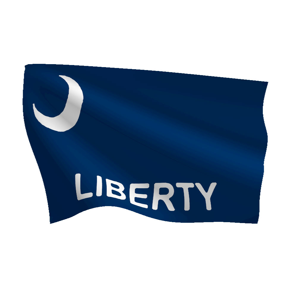 3ft x 5ft Fort Moultrie Flag
