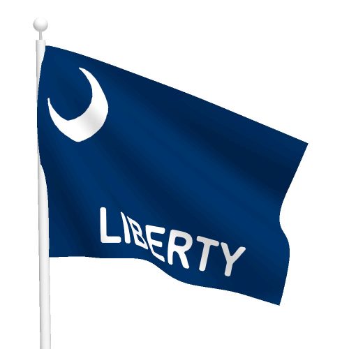 3ft x 5ft Fort Moultrie Flag