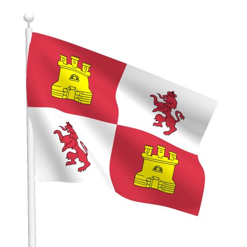 3ft x 5ft Lions and Castles Flag