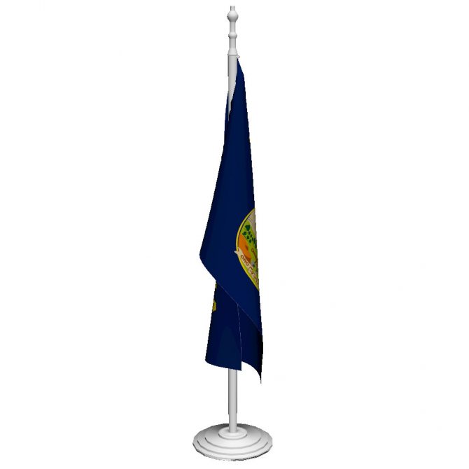 Montana Flag