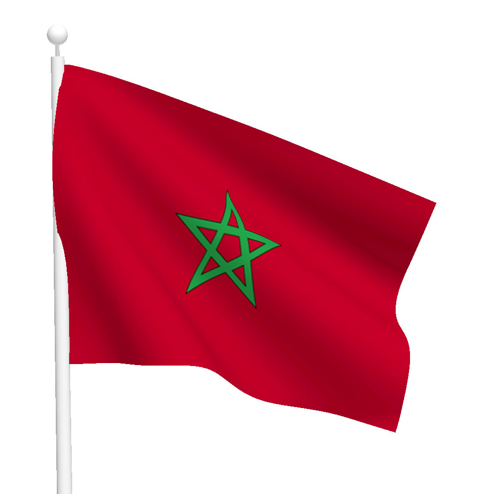 Image result for morocco flag