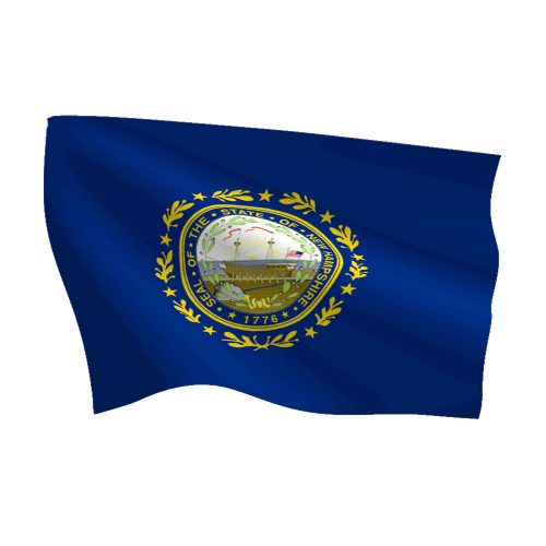 New Hampshire Flag
