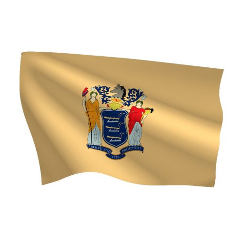 New Jersey Flag