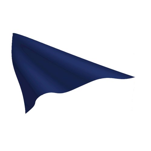 OG Blue Pennant