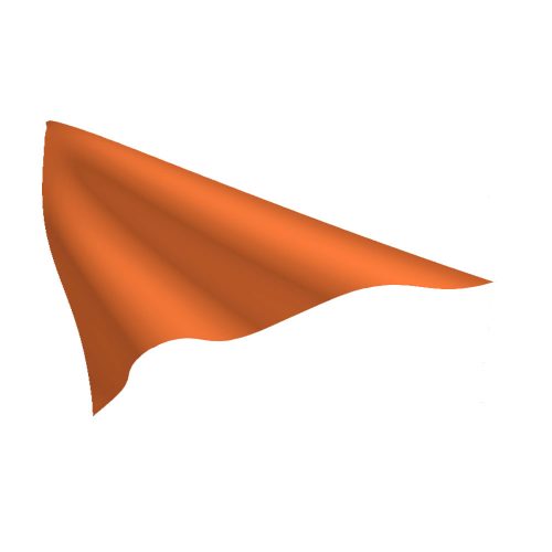 Orange Pennant
