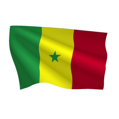 Senegal Flag