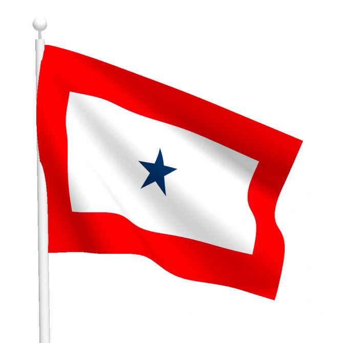 3ft x 5ft Service Star Flag