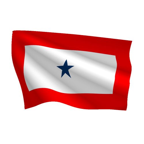 3ft x 5ft Service Star Flag