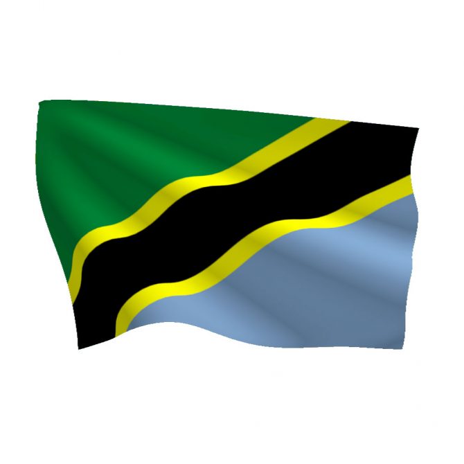 Tanzania Flag