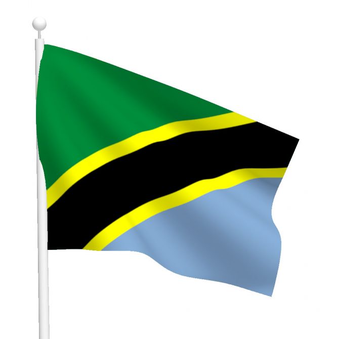 Tanzania Flag
