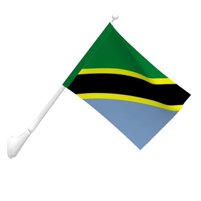 Tanzania Flag