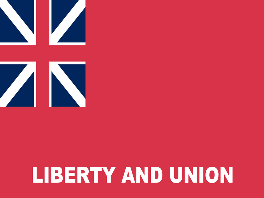 4in x 6in Taunton Flag with Staff and Spear