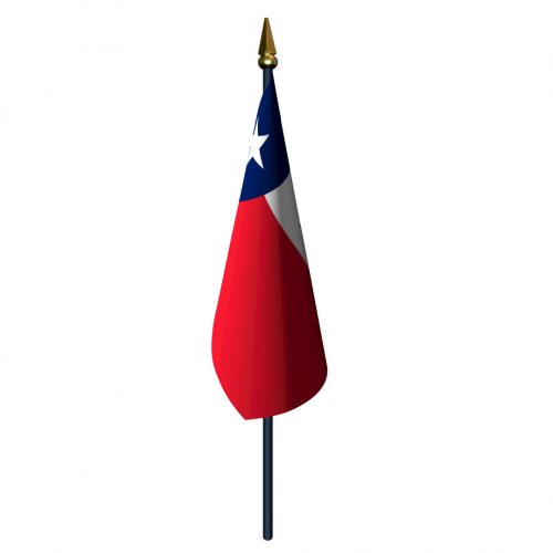 Texas Flag with Staff and Spear