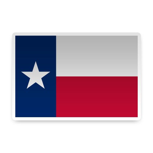Texas Sticker