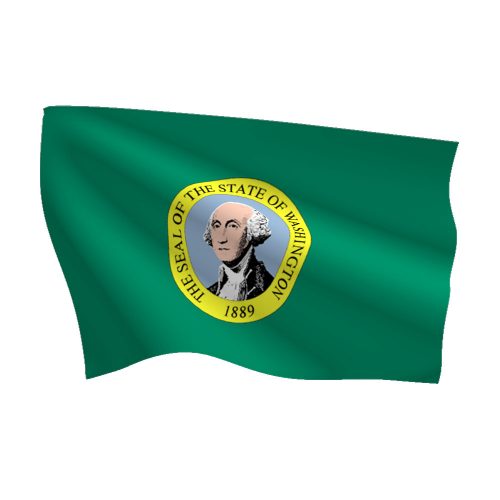Washington Flag