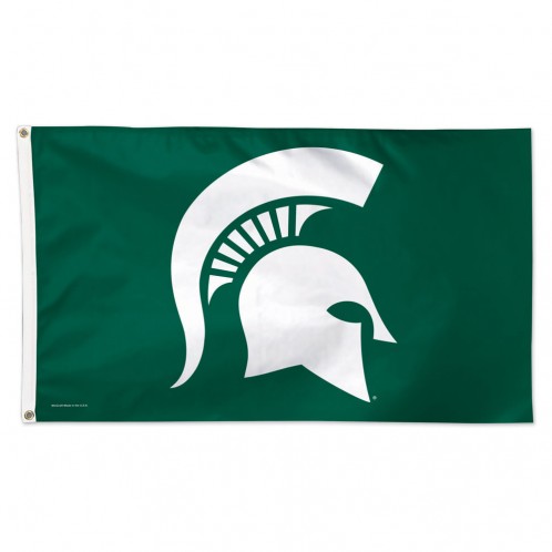 Michigan State University
